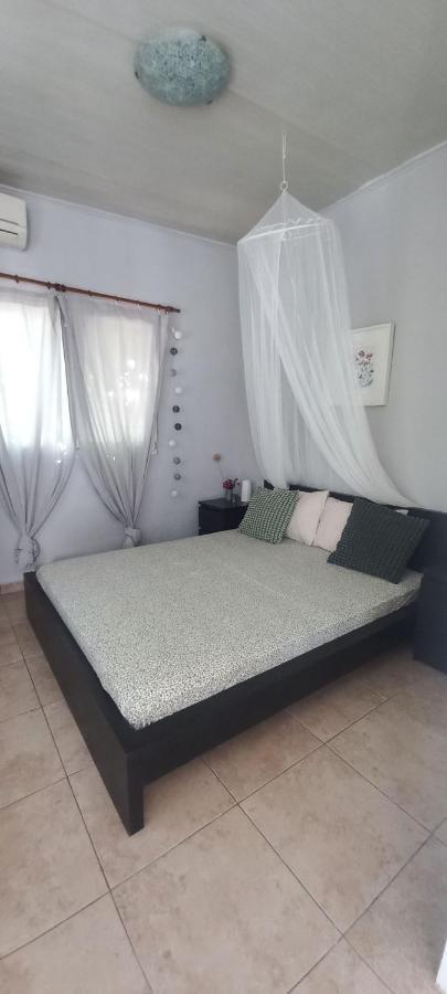 Εξοχικό Maria Villa Ambelakia Exterior foto