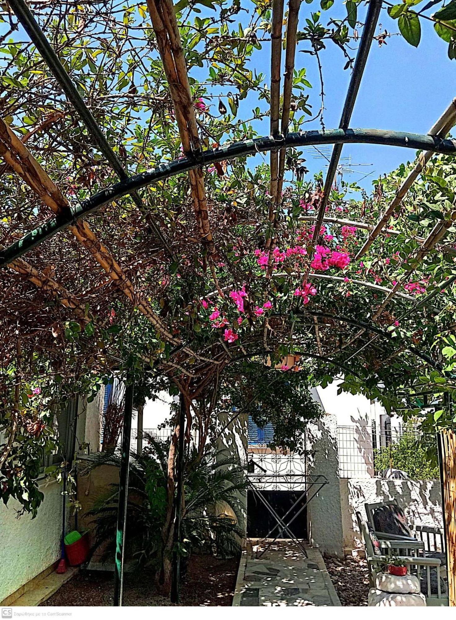 Εξοχικό Maria Villa Ambelakia Exterior foto